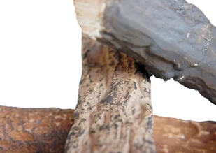 Globmetal Trade Sp. z o.o. Polana drewno ceramiczne do biokominka - Akcesoria kominkowe - miniaturka - grafika 2