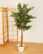 Sztuczne drzewka - GreenTree SZTUCZNE DRZEWO MARIHUANA KWIATY DRZEWKO MARIHUANY - miniaturka - grafika 1