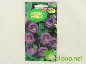 Nasiona i cebule - Polan Kobea pnąca Fioletowa Cobaea scandens 6szt. - miniaturka - grafika 1