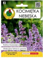 Nasiona i cebule - Nasiona kocimiętka niebieska 0 5 g - miniaturka - grafika 1