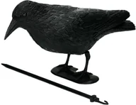 Zwalczanie i odstraszanie szkodników - Odstraszacz ptaków, sylwetka kruka stojącego (model). - miniaturka - grafika 1
