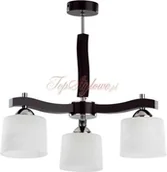 Lampy sufitowe - Ideal Lux 16863 AUDI-10 SP5 - miniaturka - grafika 1