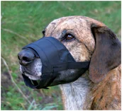 Kagańce dla psów - Trixie Kaganiec z siatką L-XL 19265 - miniaturka - grafika 1