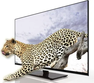 Telewizor Toshiba 55VL963 - Telewizory - miniaturka - grafika 9