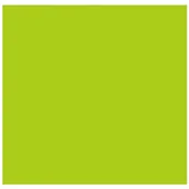 Przybory szkolne - KREPINA premium jasnozielona nr 116 INTERDRUK - miniaturka - grafika 1