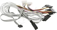 Kable komputerowe i do monitorów - Adaptec kabel ACK-I-HDmSAS-4SAS-SB 0,8M (2280100-R) - miniaturka - grafika 1