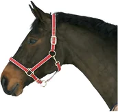 Kantary dla koni - Kantar podszywany czerwony, roz. 1 - miniaturka - grafika 1