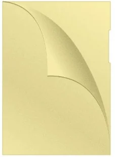 Q-CONNECT OBWOLUTA TYPU L, PP, A4, GROSZKOWA, ŻÓŁTA - Koszulki na dokumenty - miniaturka - grafika 2