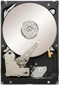 Dyski HDD - Seagate ST3500514NS - miniaturka - grafika 1