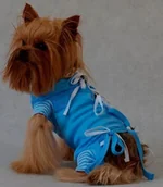 Specjalistyczne artykuły dla zwierząt - Grande Finale Koszulka pooperacyjna rozMiar 1 / 22cm niebieska [WET1] 7542 - miniaturka - grafika 1