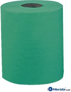 R.E.I.S. HME-ST12 - CZYŚCIWO PAPIEROWE - Ręczniki papierowe R.E.I.S. HME-ST12 - CZYŚCIWO PAPIEROWE - Ręczniki papierowe - miniaturka - grafika 1