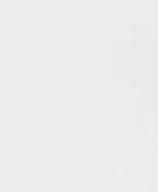 Tapety - Rasch Wallton 161304 NA FLIZELINIE - miniaturka - grafika 1