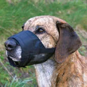 Kagańce dla psów - Trixie Kaganiec z siatką rozmiar S nr kat.19261 - miniaturka - grafika 1