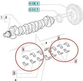 Części i akcesoria do maszyn rolniczych - CNH PANEWKI GŁÓWNE SILNIKA 87790260 - miniaturka - grafika 1