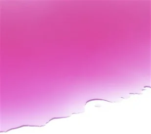 TROTEC Naturalny czerwony barwnik PureRubin 200 g - Akcesoria do urządzeń pomiarowych - miniaturka - grafika 3