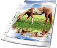 Koszulki na dokumenty - DURABLE KIESZEŃ przezroczysta A4 wysoka jakość 50 szt - miniaturka - grafika 1