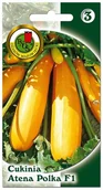Nasiona i cebule - Nasiona cukinia Atena Polka F1 - miniaturka - grafika 1