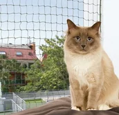 Pozostałe akcesoria dla kotów - Trixie Siatka na okno zielona 6x3m [44294] 11625 - miniaturka - grafika 1