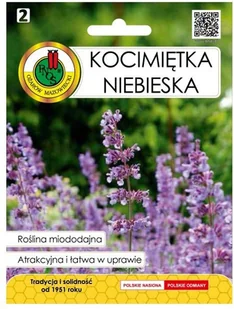 Nasiona kocimiętka niebieska 0 5 g - Nasiona i cebule Nasiona kocimiętka niebieska 0 5 g - Nasiona i cebule - miniaturka - grafika 1