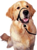 Obroże dla psów - Halti Kantarek - Obroża uzdowa rozmiar 3 czarna 13617 - miniaturka - grafika 1