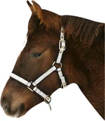 Kantary dla koni - Kantar dla źrebaka nylonowy regulowany siwy - miniaturka - grafika 1