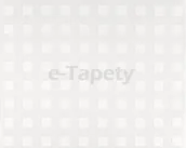 Tapety - A.S. Creation TAPETA DO MALOWANIA NA FLIZELINIE - GO PRO 3382-11 - - rolka 26,5 m2 - miniaturka - grafika 1