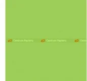 Papier do drukarek - Maestro Papier Mondi Color Intensiv - MA42 - zieleń wiosenna A4/80 g/m2) (MA42) - miniaturka - grafika 1