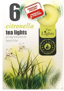 Podgrzewacz Citronella 6 szt. - Pozostałe ozdoby ogrodowe - miniaturka - grafika 2