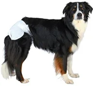 Specjalistyczne artykuły dla zwierząt - Trixie Pieluchy/Majtki dla suki 12szt/op L [23635] 11750 - miniaturka - grafika 1