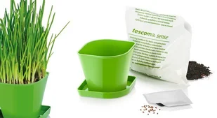 Tescoma Zestaw do uprawy ziół SENSE szczypiorek 899062 - Akcesoria i części AGD - miniaturka - grafika 2