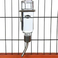 Akcesoria dla gryzoni - Trixie TX-60443 POIDEŁKO DLA GRYZONI 500ml - miniaturka - grafika 1