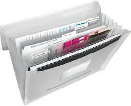 Esselte Teczka Z PRZEGRODKAMI VIVIDA BIAŁY 624018 - Teczki i skoroszyty - miniaturka - grafika 2