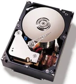 Dyski serwerowe - IBM 500GB 7.2K 6Gbps NL SATA 3.5in G2HS HDD 81Y9786 - miniaturka - grafika 1