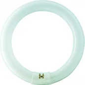 Lampy pozostałe - Philips MASTER TL-E SUPER 80 22W/840 8727900840506 - miniaturka - grafika 1