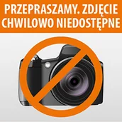 Szyldy i rozety - VDS ROZETA KWADRATOWA KLUCZ R46 CHROM SZCZOTKOWANY 42-0166 - miniaturka - grafika 1