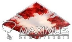 Candellux RAPSODY LAMPA SUFITOWA PLAFON 31X31 2X60W E27 KWADRAT - Lampy sufitowe - miniaturka - grafika 2