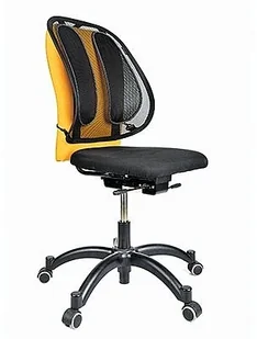 Fellowes Podpórka pod plecy ergonomiczna - Podnóżki, podpórki, podkładki - miniaturka - grafika 2