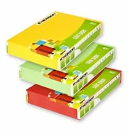 Papier do drukarek - Emerson PAPIER KSERO A4 BRZOSKWINIOWY XEM408055 zakupy dla domu i biura XEM408055 - miniaturka - grafika 1