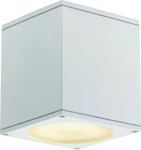 Spotline BIG THEO CEILING OUT 229551 plafon sufitowy 1x75W GU10/ES111 - Lampy ogrodowe - miniaturka - grafika 6