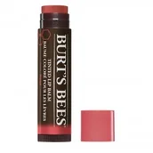 Szminki - Burt's Bees Koloryzująca pomadka - Rose - Burt's Bees 2416-0 - miniaturka - grafika 1